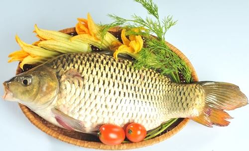 Loại cá nào chứa nhiều dinh dưỡng nhất